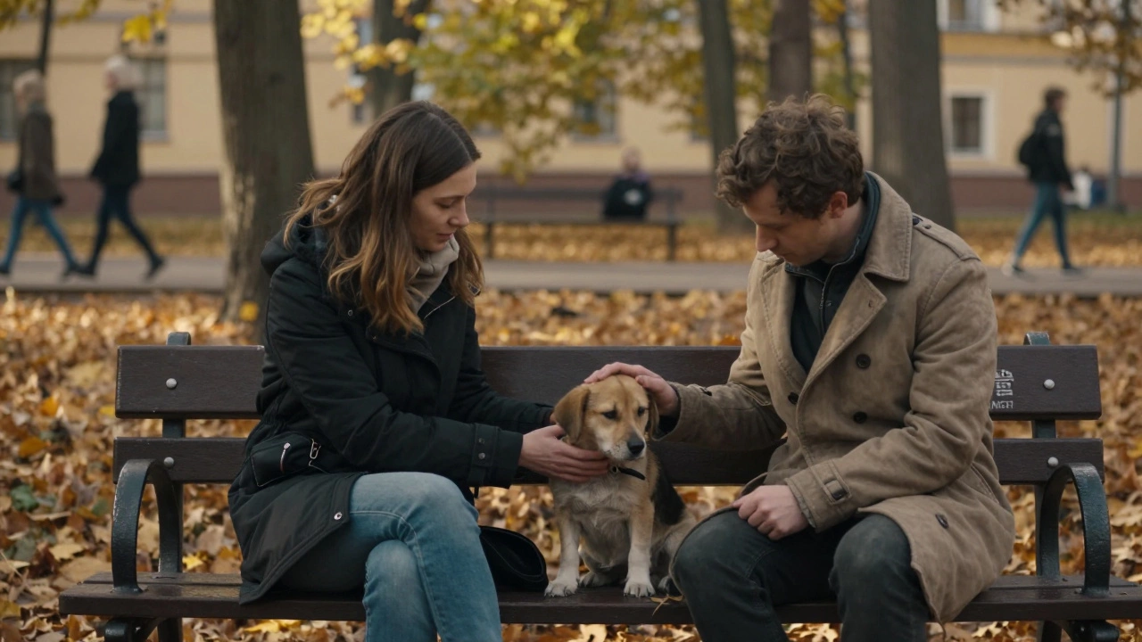 Два человека сидят на скамейке с собакой из приюта, осень, тихая связь без слов.